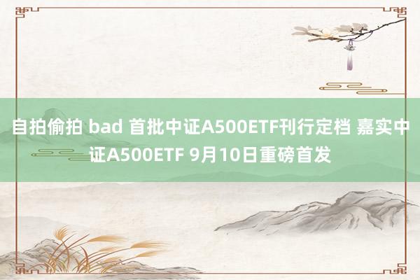 自拍偷拍 bad 首批中证A500ETF刊行定档 嘉实中证A500ETF 9月10日重磅首发