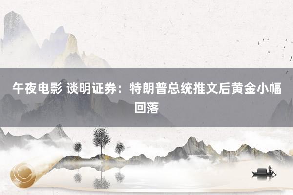 午夜电影 谈明证券：特朗普总统推文后黄金小幅回落