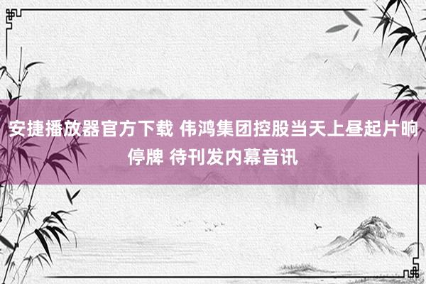 安捷播放器官方下载 伟鸿集团控股当天上昼起片晌停牌 待刊发内幕音讯