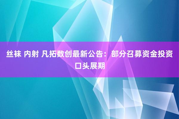 丝袜 内射 凡拓数创最新公告：部分召募资金投资口头展期