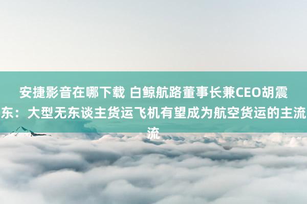 安捷影音在哪下载 白鲸航路董事长兼CEO胡震东：大型无东谈主货运飞机有望成为航空货运的主流