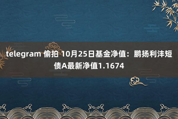 telegram 偷拍 10月25日基金净值：鹏扬利沣短债A最新净值1.1674