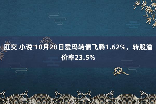 肛交 小说 10月28日爱玛转债飞腾1.62%，转股溢价率23.5%