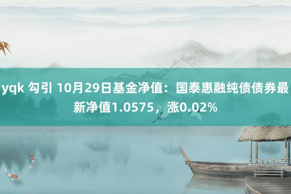 yqk 勾引 10月29日基金净值：国泰惠融纯债债券最新净值1.0575，涨0.02%