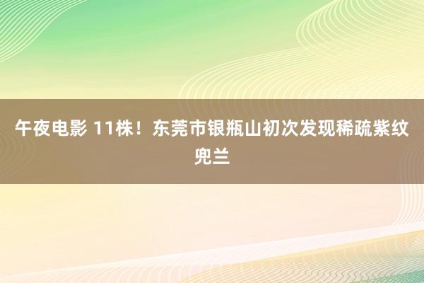 午夜电影 11株！东莞市银瓶山初次发现稀疏紫纹兜兰