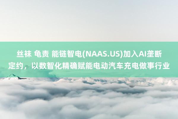 丝袜 龟责 能链智电(NAAS.US)加入AI垄断定约，以数智化精确赋能电动汽车充电做事行业