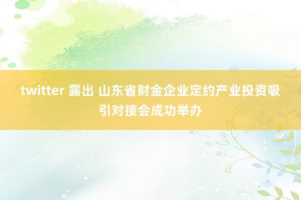 twitter 露出 山东省财金企业定约产业投资吸引对接会成功举办