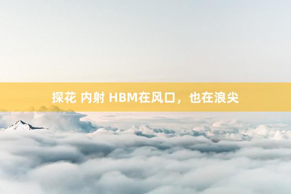 探花 内射 HBM在风口，也在浪尖