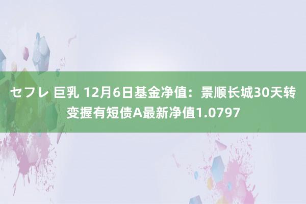 セフレ 巨乳 12月6日基金净值：景顺长城30天转变握有短债A最新净值1.0797