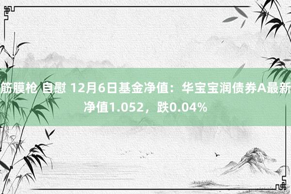 筋膜枪 自慰 12月6日基金净值：华宝宝润债券A最新净值1.052，跌0.04%