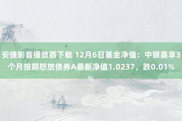 安捷影音播放器下载 12月6日基金净值：中银嘉享3个月按期怒放债券A最新净值1.0237，跌0.01%