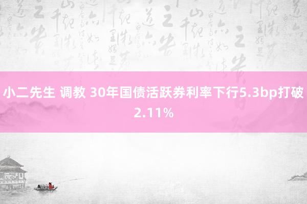 小二先生 调教 30年国债活跃券利率下行5.3bp打破2.11%