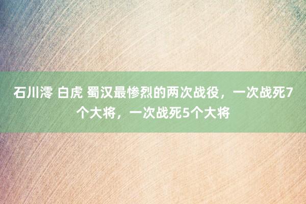 石川澪 白虎 蜀汉最惨烈的两次战役，一次战死7个大将，一次战死5个大将