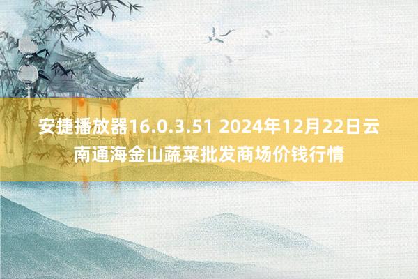 安捷播放器16.0.3.51 2024年12月22日云南通海金山蔬菜批发商场价钱行情