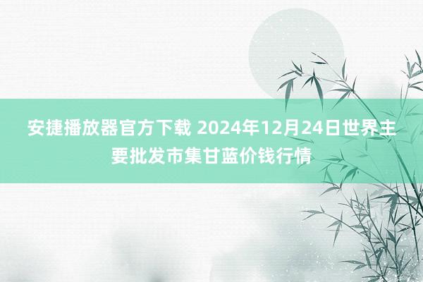 安捷播放器官方下载 2024年12月24日世界主要批发市集甘蓝价钱行情