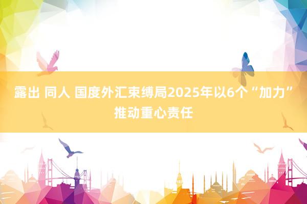 露出 同人 国度外汇束缚局2025年以6个“加力”推动重心责任